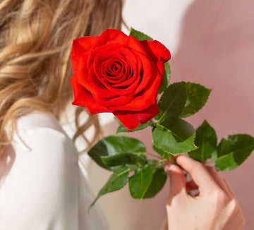 THE ROSES THAT SET US APART