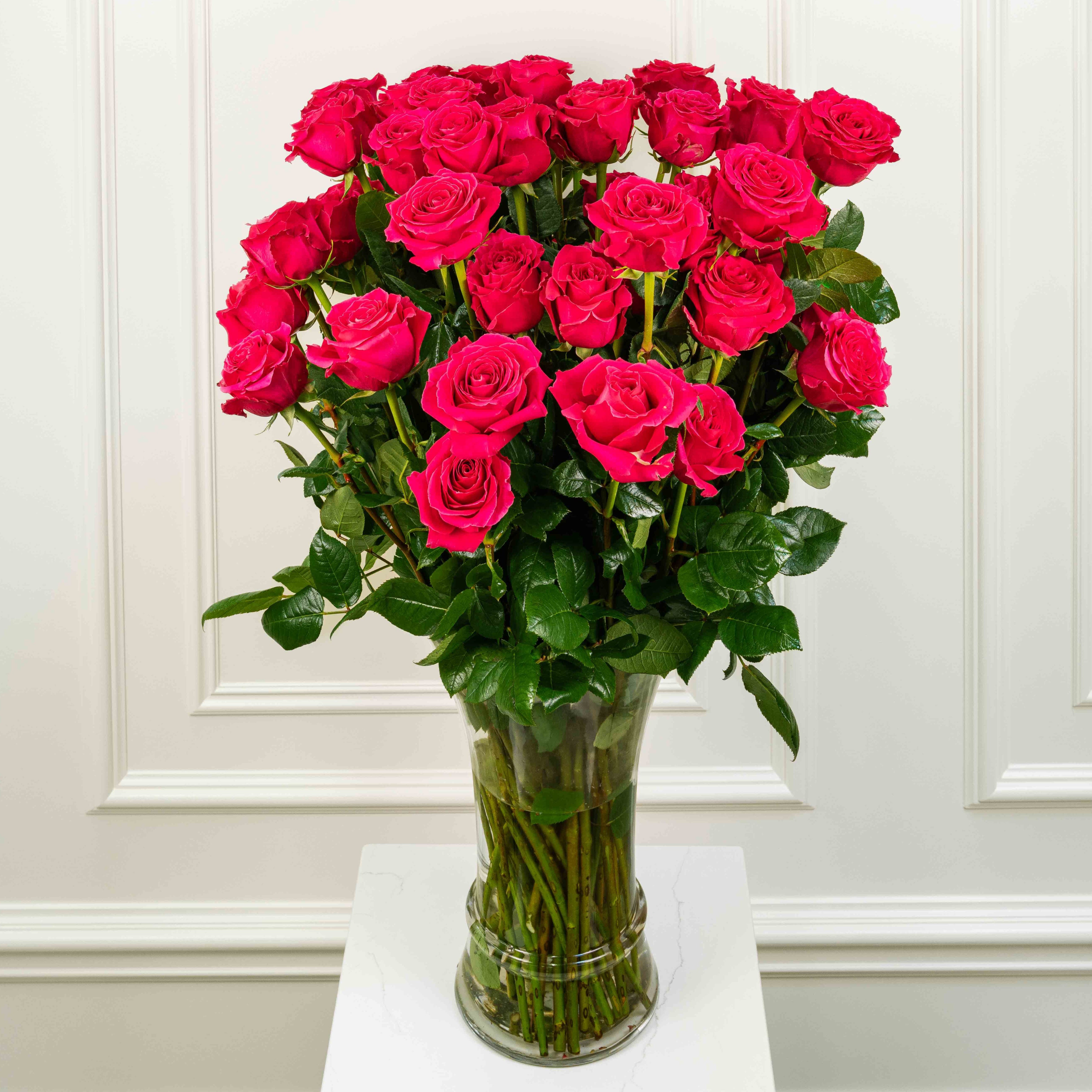 Extra Whte Roses Extra Long-Stem Premium Roses – AFLEUR