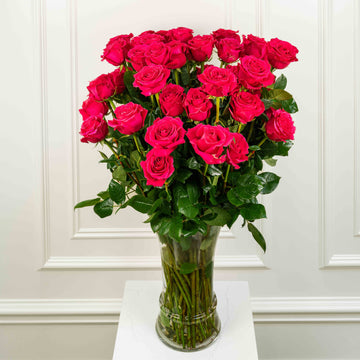 Extra Long-Stem Premium Roses