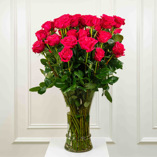 Extra Long-Stem Premium Roses