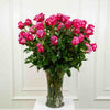 Extra Long-Stem Premium Roses
