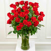Extra Long-Stem Premium Roses