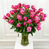 Extra Long-Stem Premium Roses