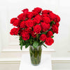 Long-Stem Premium Roses