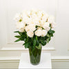 Long-Stem Premium Roses