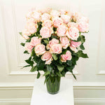 Long-Stem Premium Roses