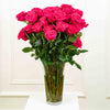 Long-Stem Premium Roses