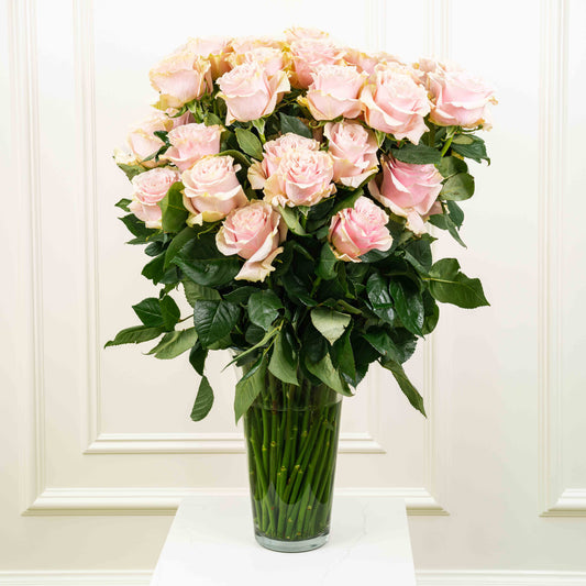 Long-Stem Premium Roses
