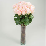 Long-Stem Premium Roses